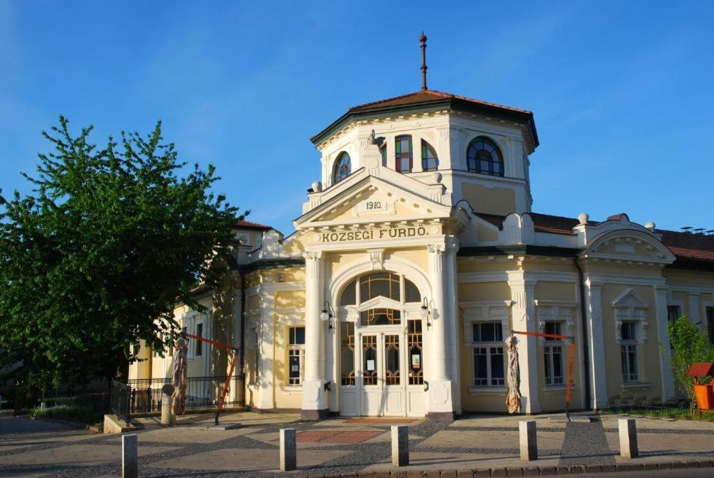Greenpark Garden Villa Family Apartments Near Tokaj زيرينس المظهر الخارجي الصورة