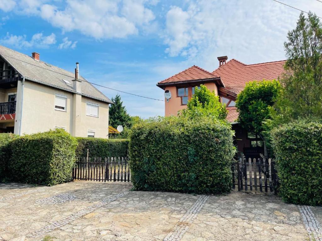 Greenpark Garden Villa Family Apartments Near Tokaj زيرينس المظهر الخارجي الصورة