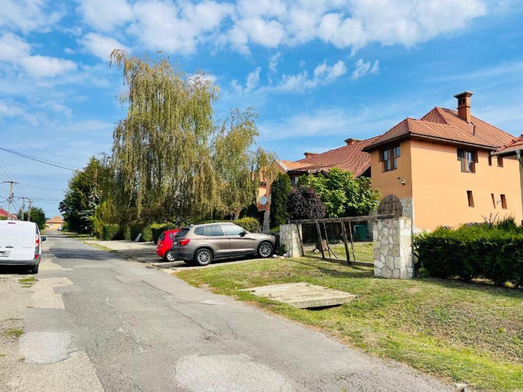 Greenpark Garden Villa Family Apartments Near Tokaj زيرينس المظهر الخارجي الصورة