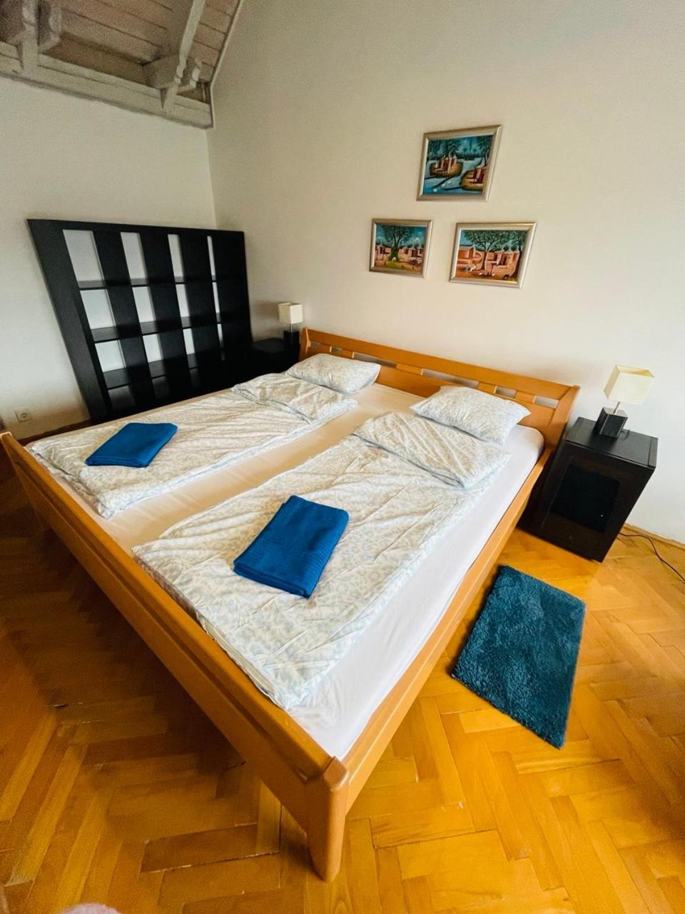 Greenpark Garden Villa Family Apartments Near Tokaj زيرينس المظهر الخارجي الصورة