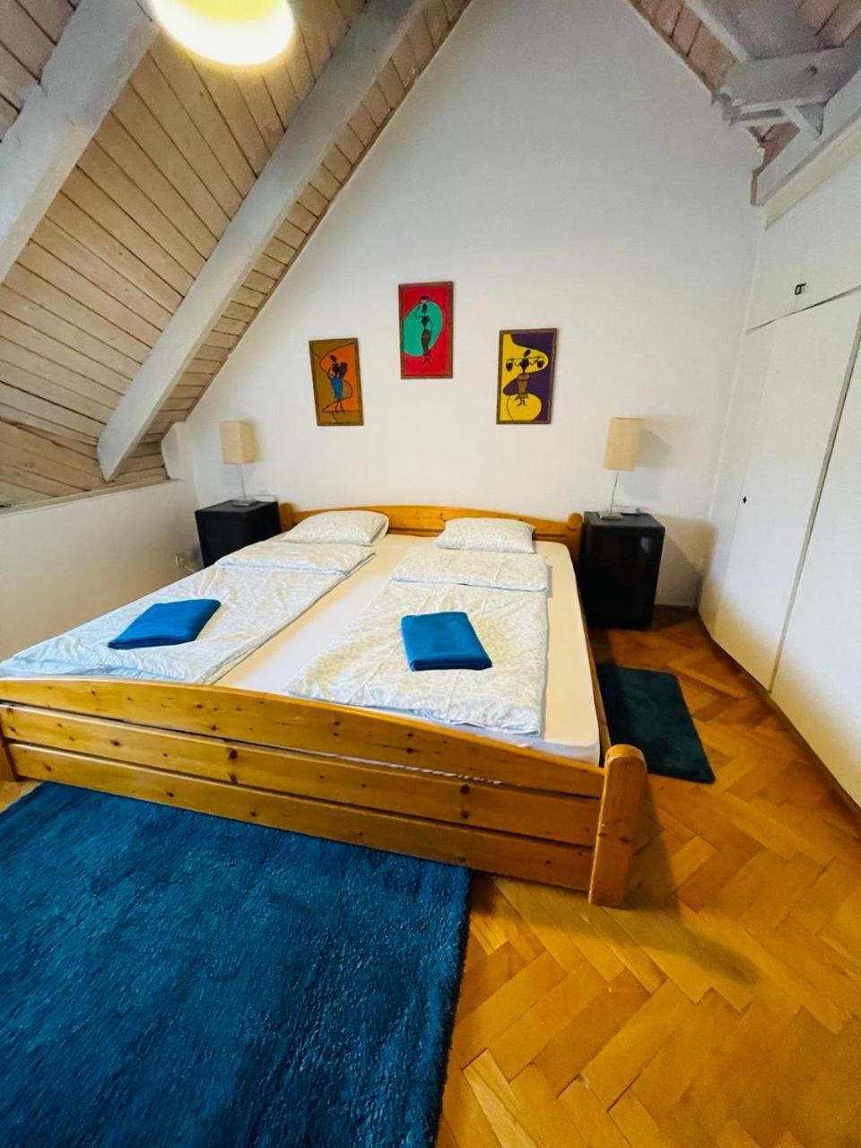 Greenpark Garden Villa Family Apartments Near Tokaj زيرينس المظهر الخارجي الصورة