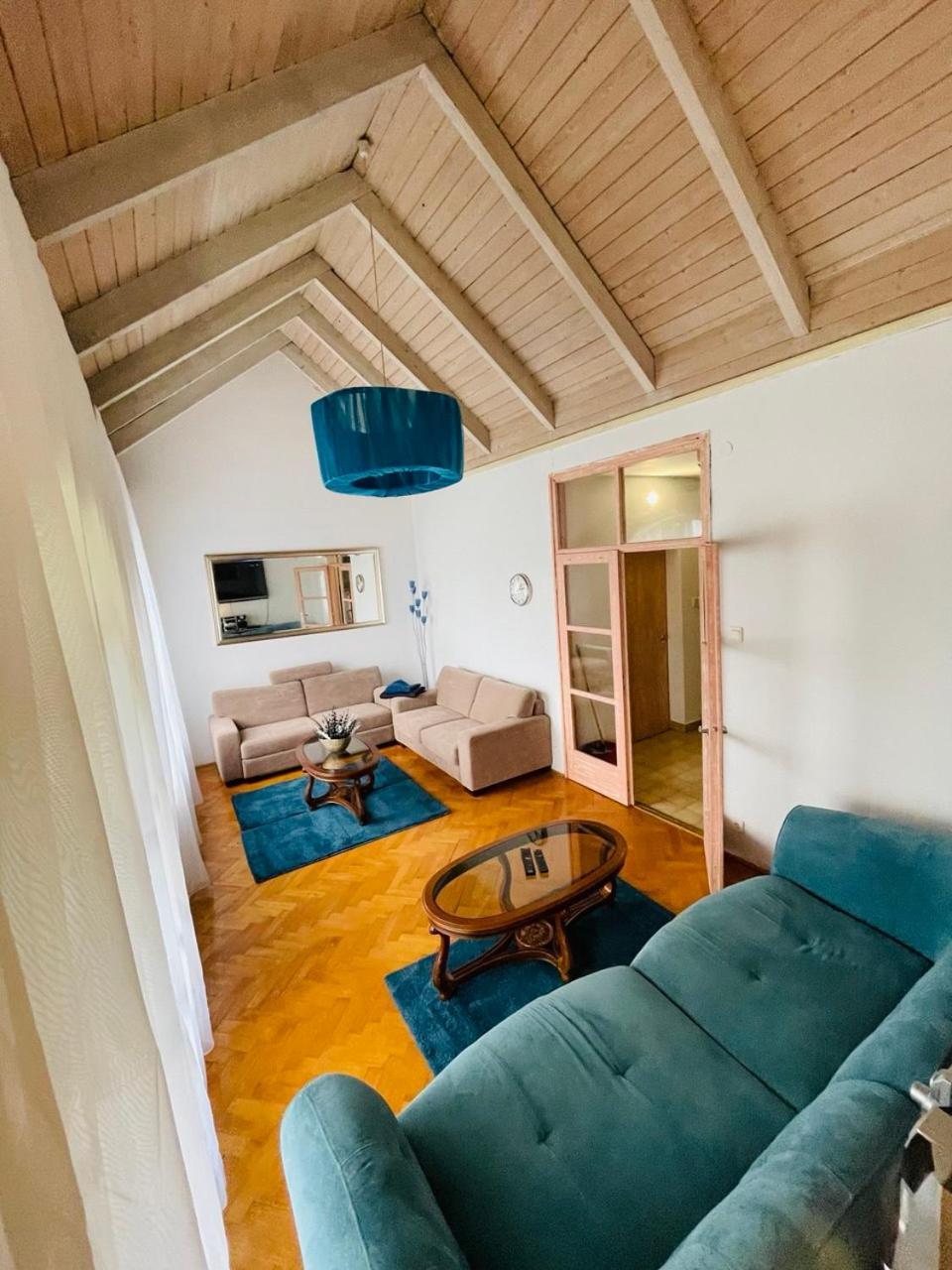 Greenpark Garden Villa Family Apartments Near Tokaj زيرينس المظهر الخارجي الصورة
